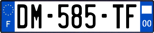 DM-585-TF