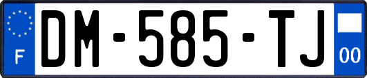 DM-585-TJ