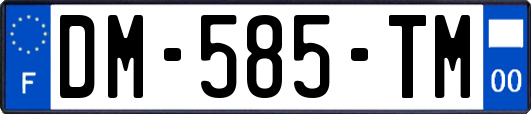 DM-585-TM