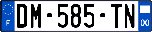 DM-585-TN