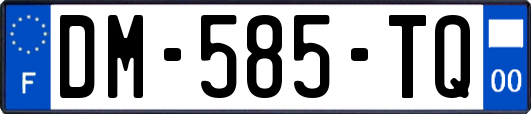 DM-585-TQ