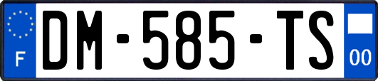DM-585-TS