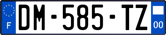 DM-585-TZ
