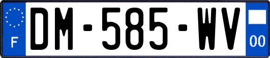 DM-585-WV