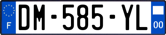 DM-585-YL