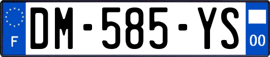 DM-585-YS