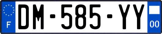 DM-585-YY