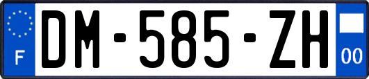 DM-585-ZH