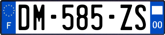 DM-585-ZS