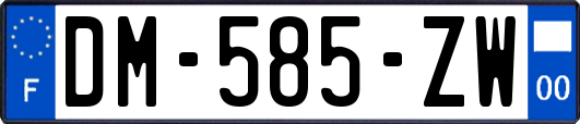 DM-585-ZW