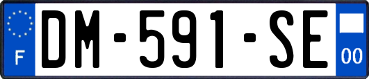 DM-591-SE