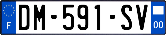 DM-591-SV