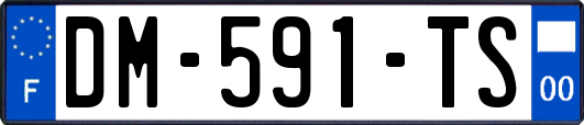 DM-591-TS