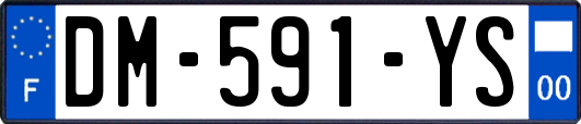 DM-591-YS