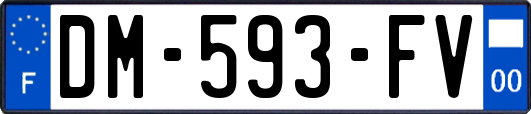 DM-593-FV