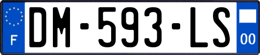 DM-593-LS