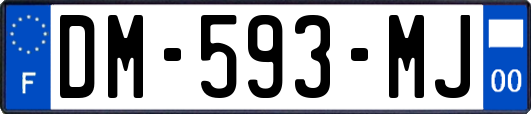 DM-593-MJ