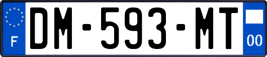 DM-593-MT