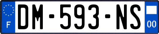 DM-593-NS