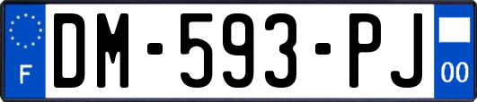 DM-593-PJ