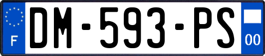 DM-593-PS