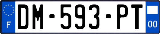 DM-593-PT