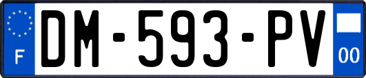 DM-593-PV