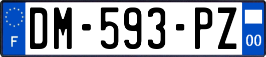 DM-593-PZ