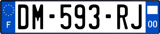 DM-593-RJ