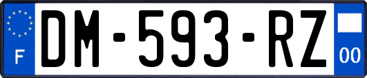DM-593-RZ