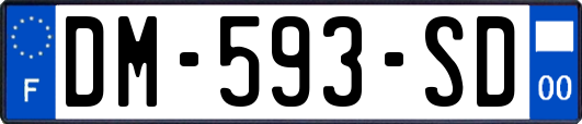 DM-593-SD