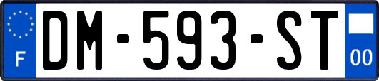 DM-593-ST