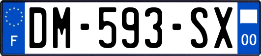 DM-593-SX