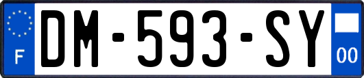 DM-593-SY