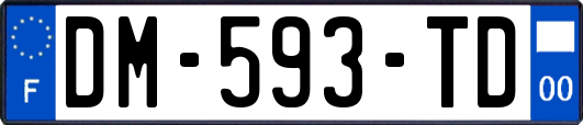 DM-593-TD
