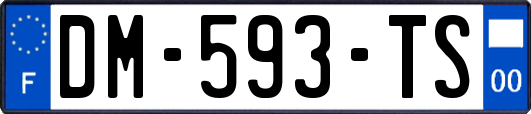 DM-593-TS