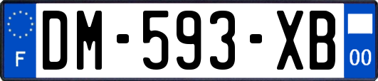 DM-593-XB