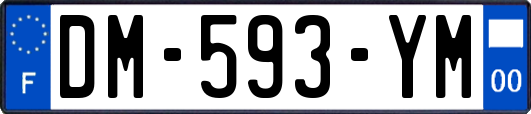 DM-593-YM