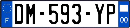 DM-593-YP