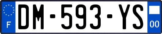 DM-593-YS