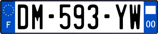 DM-593-YW