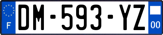 DM-593-YZ