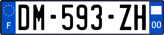 DM-593-ZH