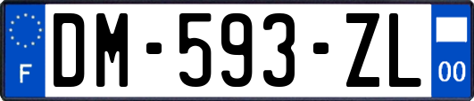 DM-593-ZL