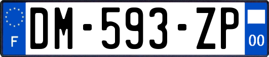 DM-593-ZP