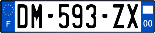 DM-593-ZX