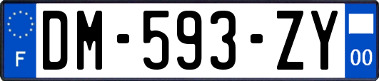 DM-593-ZY