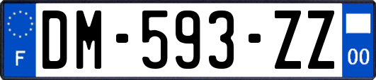 DM-593-ZZ