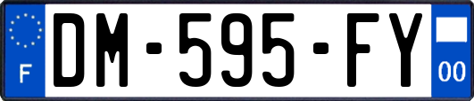 DM-595-FY