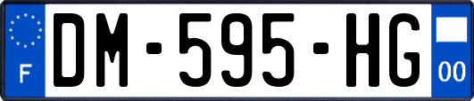 DM-595-HG